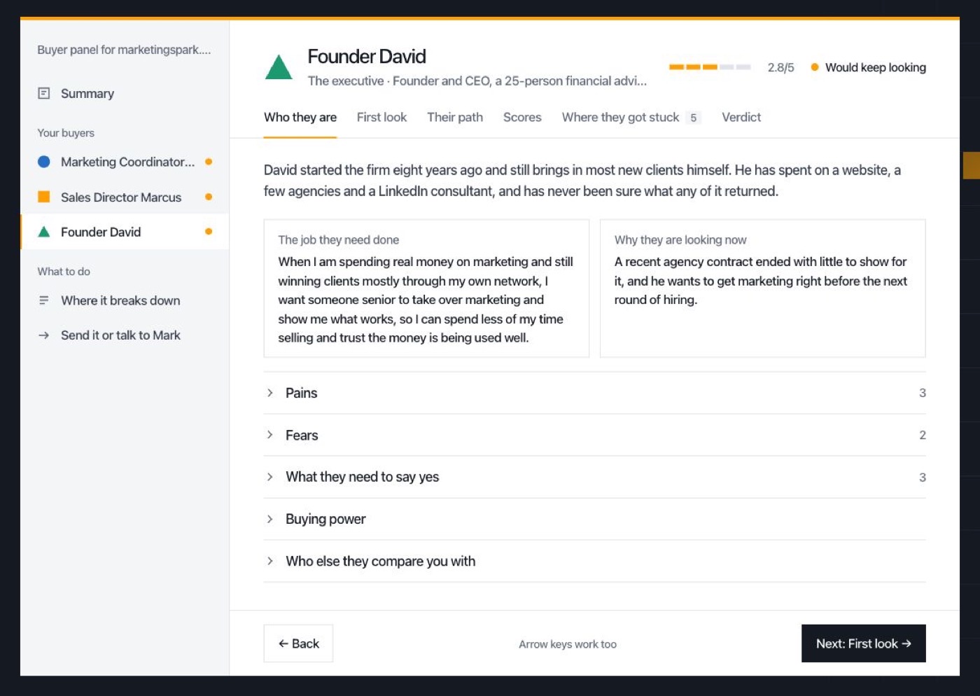 A buyer profile for a founder named David with background, job and pains